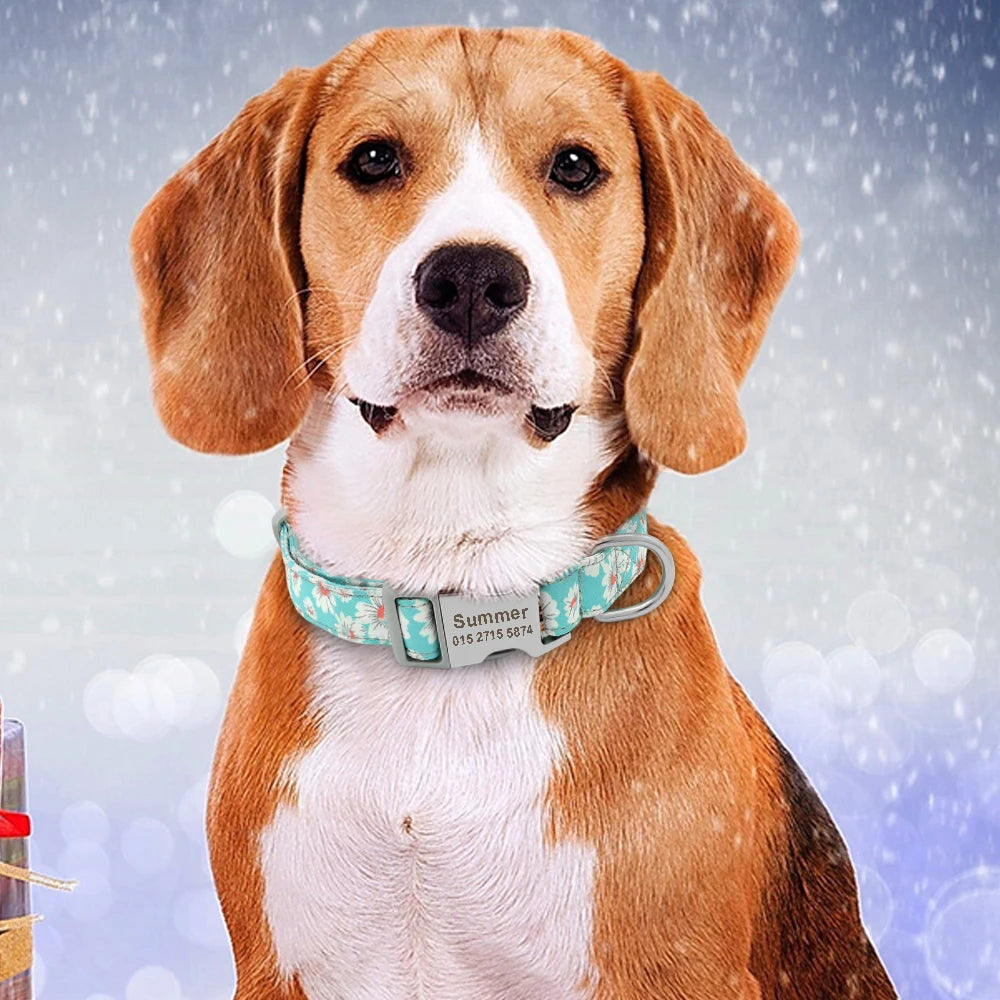 Custom Dog Collar with Free Engraving - Personalized Pet ID Nylon