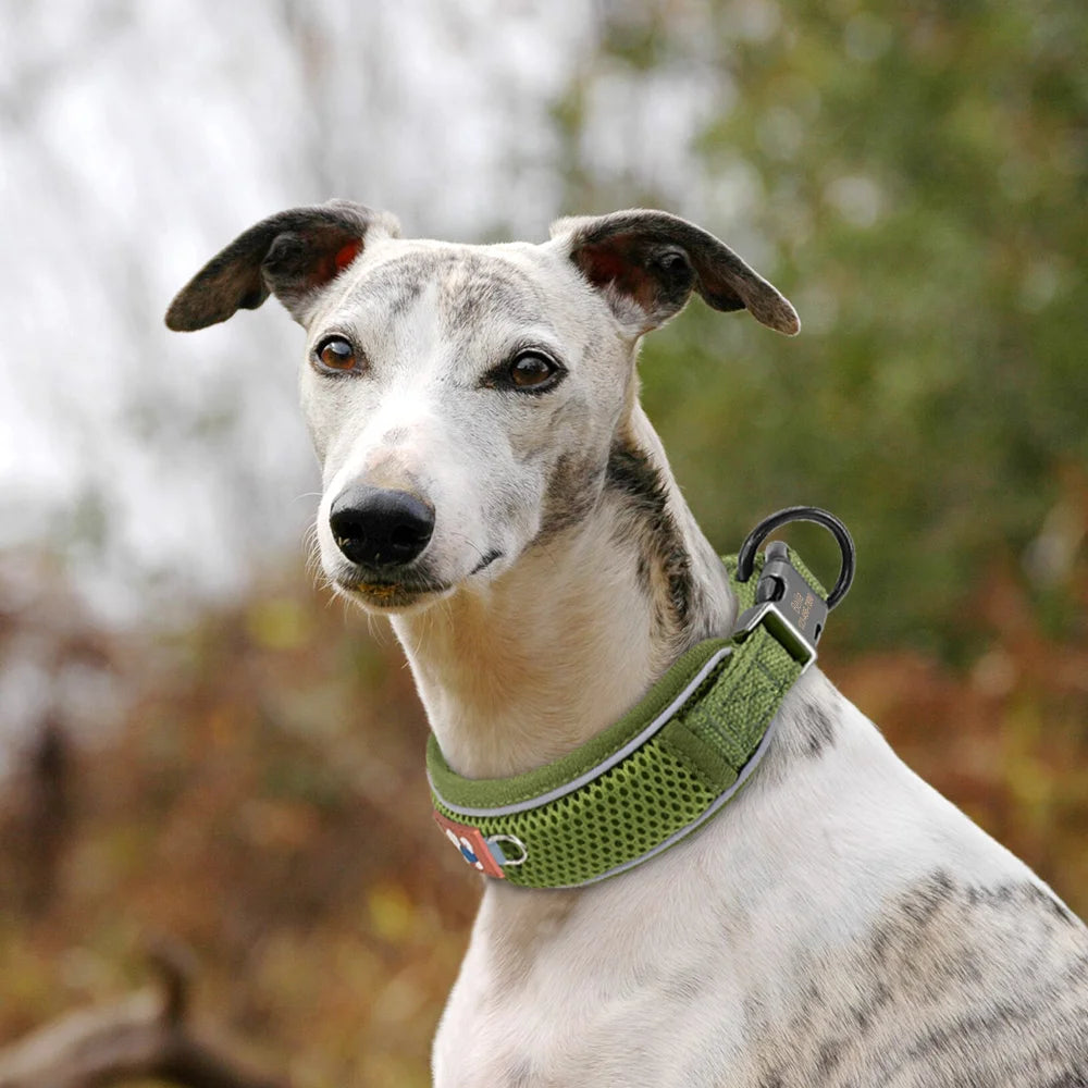 Personalized Dog Collar Breathable Mesh Custom Engraved Pet ID