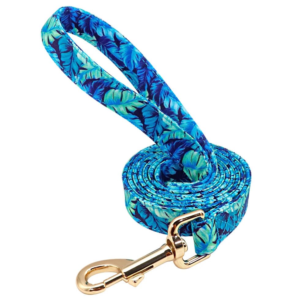 Personalized Dog Collar and Leash Set with Custom ID Tag Blue Leash
