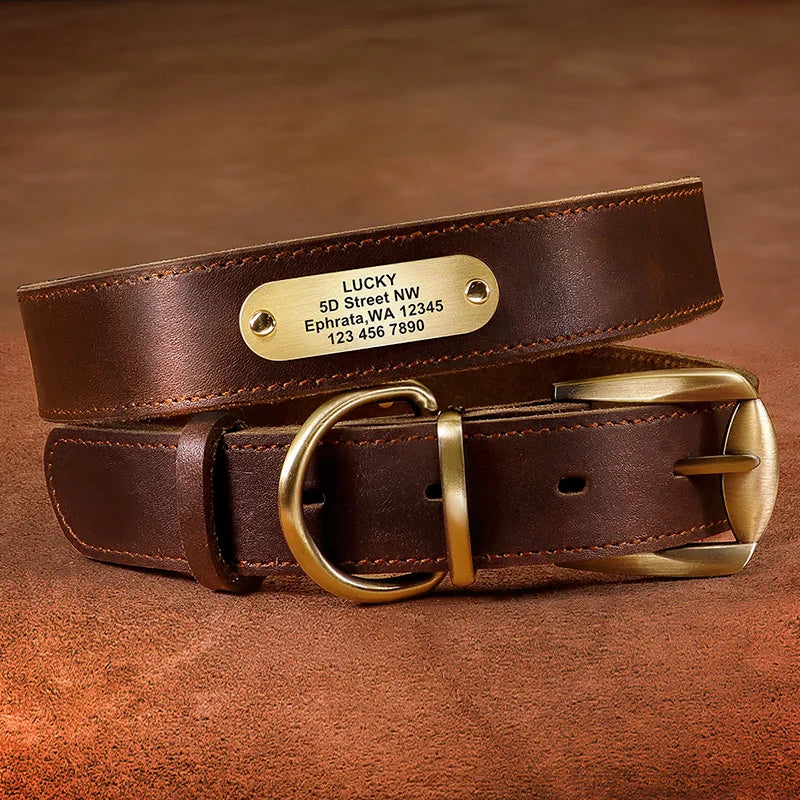 Personalized Leather Dog Collar with Custom Engraved ID Tag Rich Brown