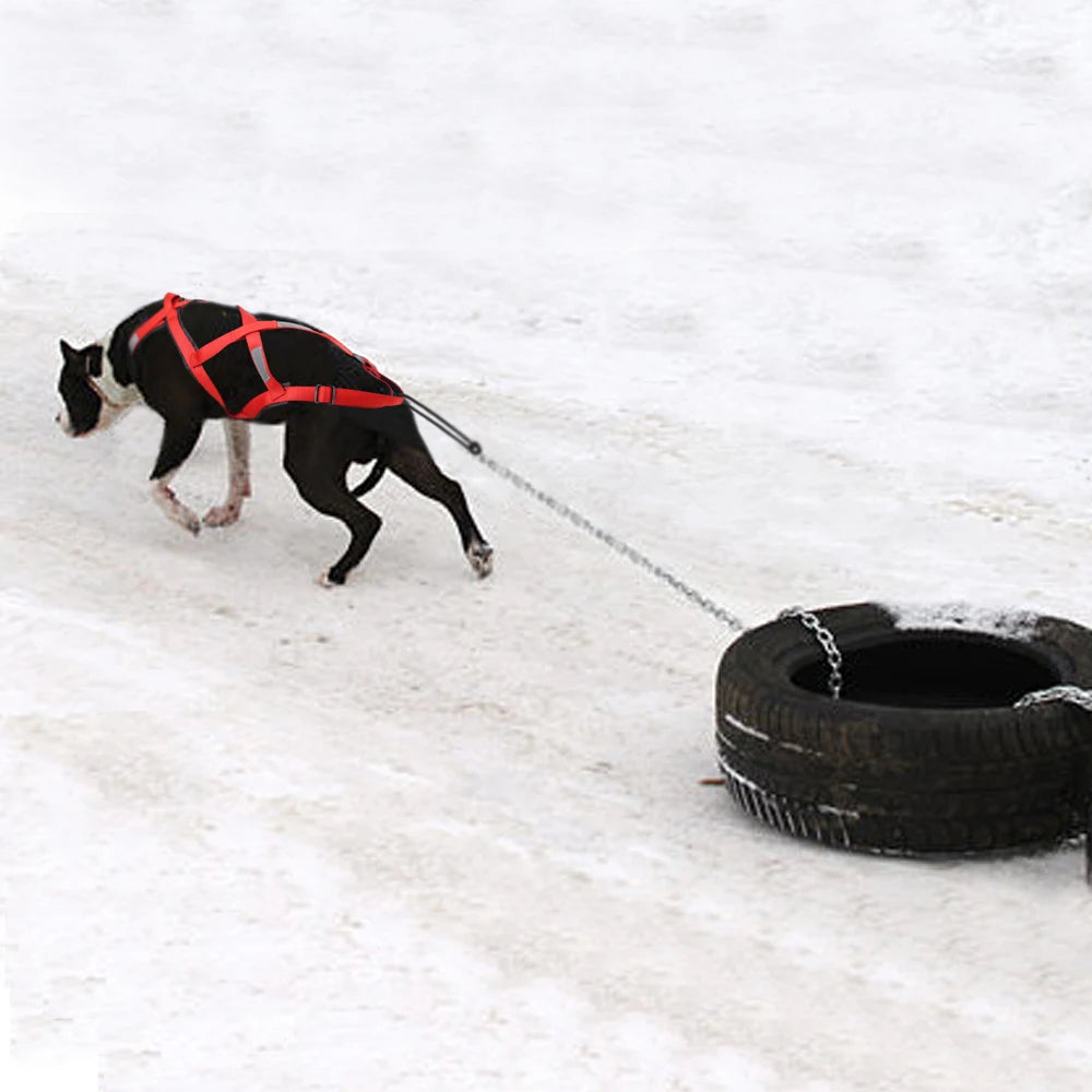 Waterproof Dog Sledding Harness - Reflective Weight Pulling Vest
