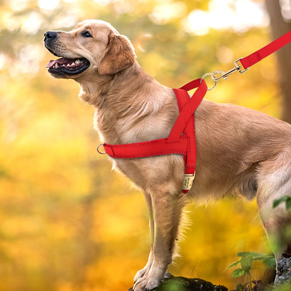 Custom Leather Dog Harness - Personalized No Pull Vest S-XL