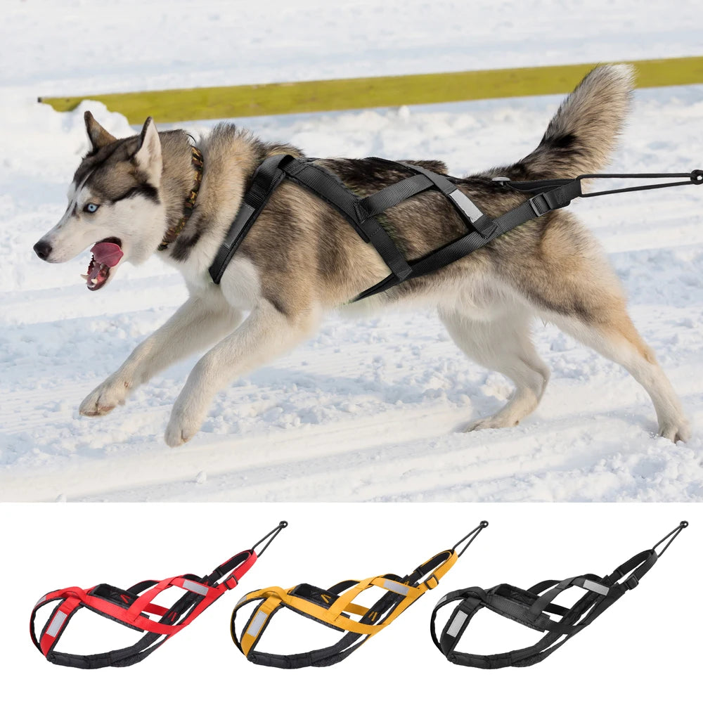 Waterproof Dog Sledding Harness - Reflective Weight Pulling Vest