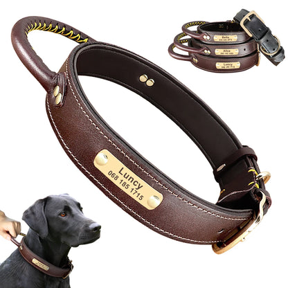 Personalized Leather Dog Collar with ID Tag - Medium & Large Dogs