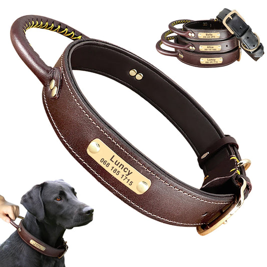 Personalized Leather Dog Collar with ID Tag - Medium & Large Dogs