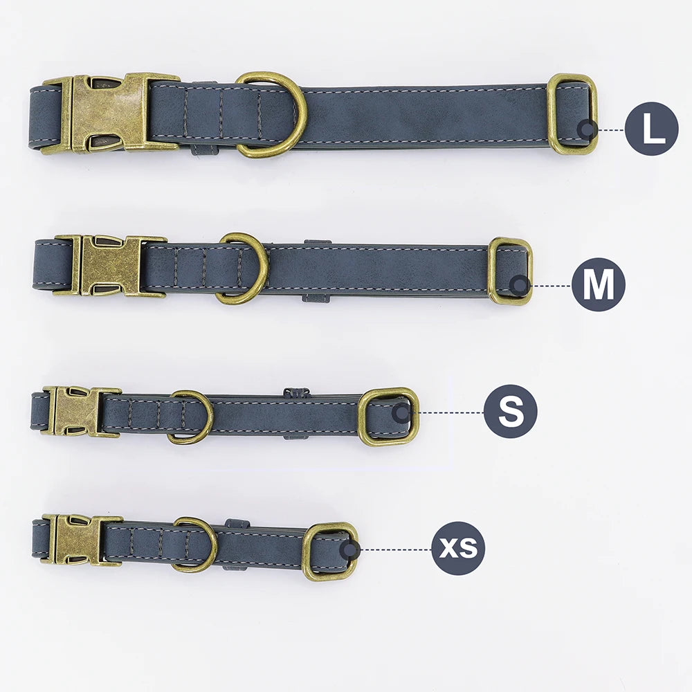 Personalized Dog Collar & Leash Set - Custom Engraved Pet Accessories