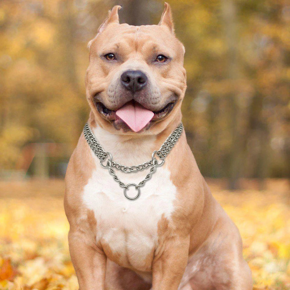 Premium Steel Training Chain Collar - Professional Dog Control