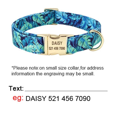 Personalized Dog Collar and Leash Set with Custom ID Tag Blue Collar