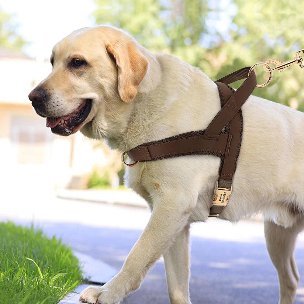 Custom Leather Dog Harness - Personalized No Pull Vest S-XL