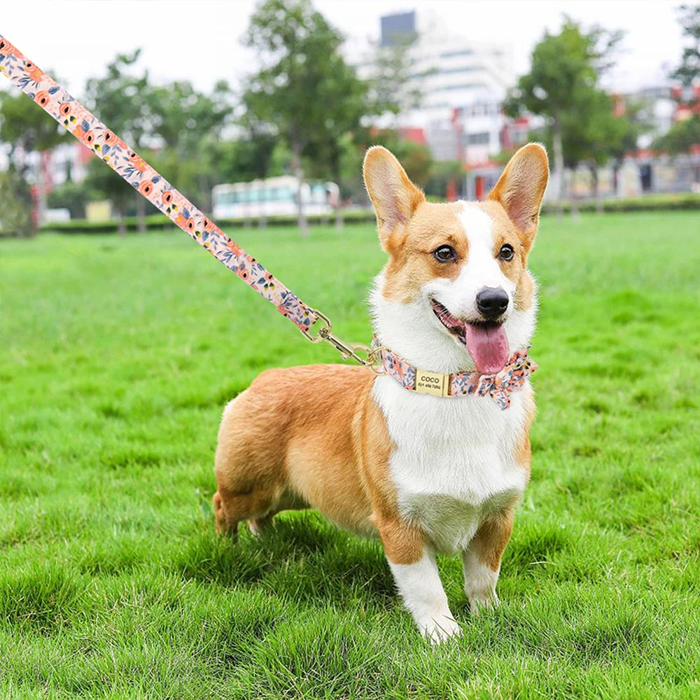 Custom Engraved Dog Collar with Leash Set - Personalized Pet ID