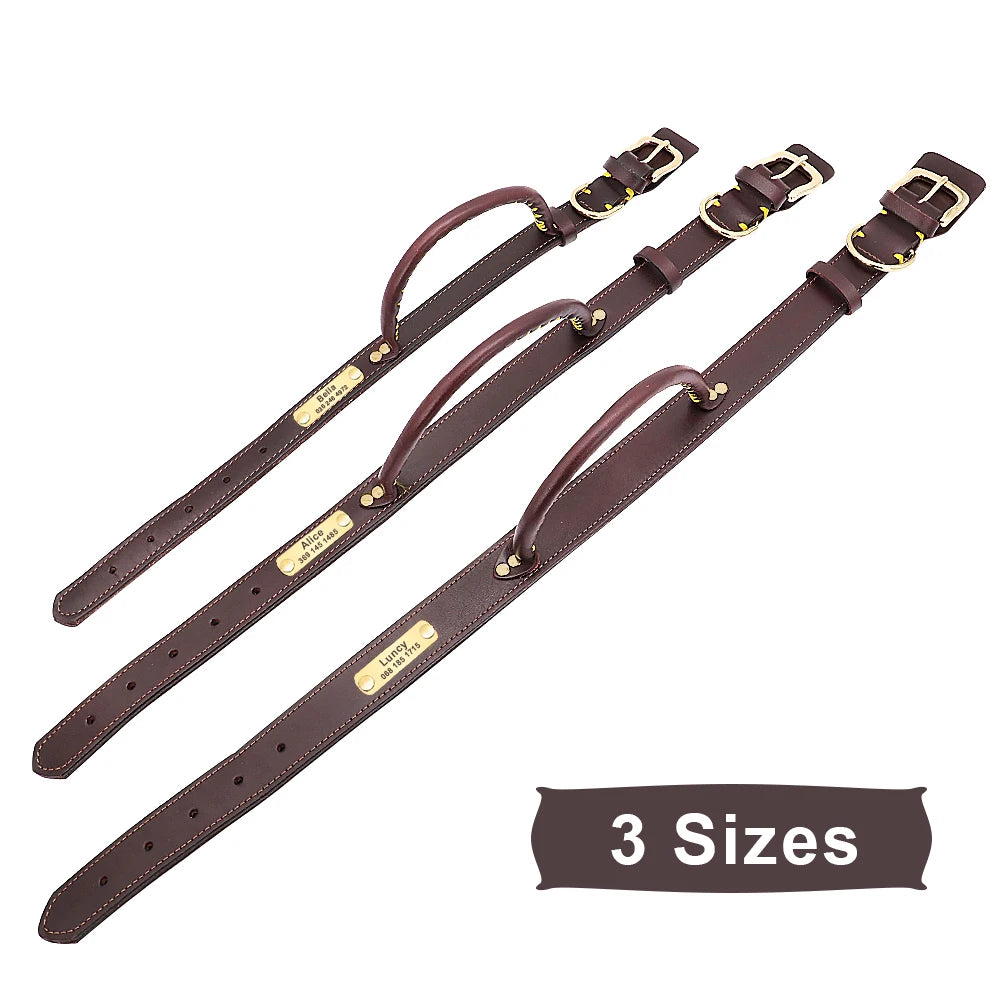 Personalized Leather Dog Collar with ID Tag - Medium & Large Dogs