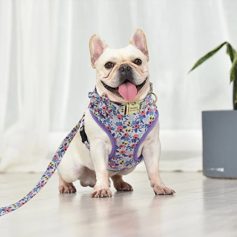 Custom Dog Collar Harness Set - Personalized Nylon Pet Kit
