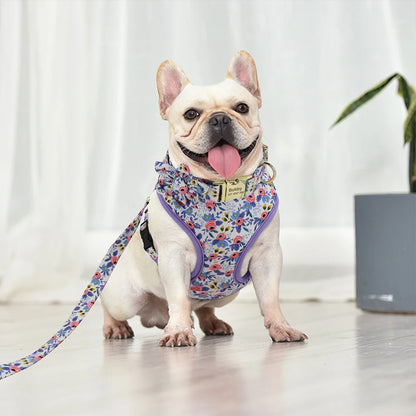 Custom Dog Collar Harness Set - Personalized Nylon Pet Kit