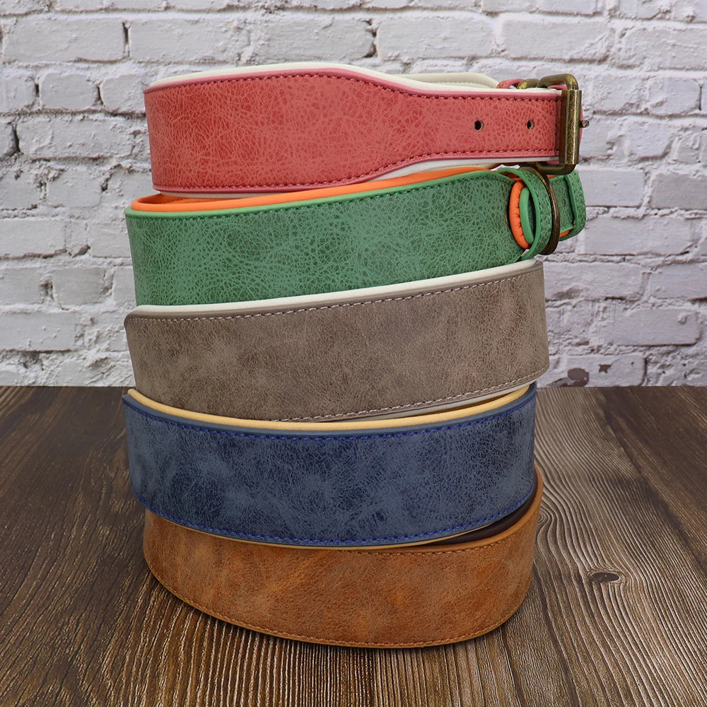 Wide Padded Leather Dog Collar for Large Dogs