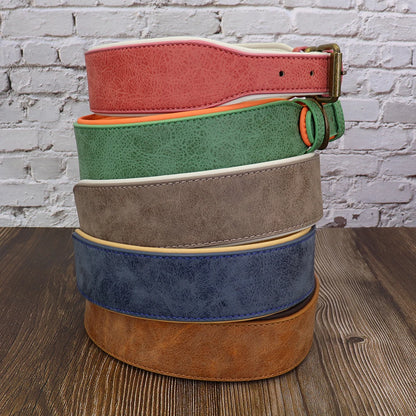 Wide Padded Leather Dog Collar for Large Dogs