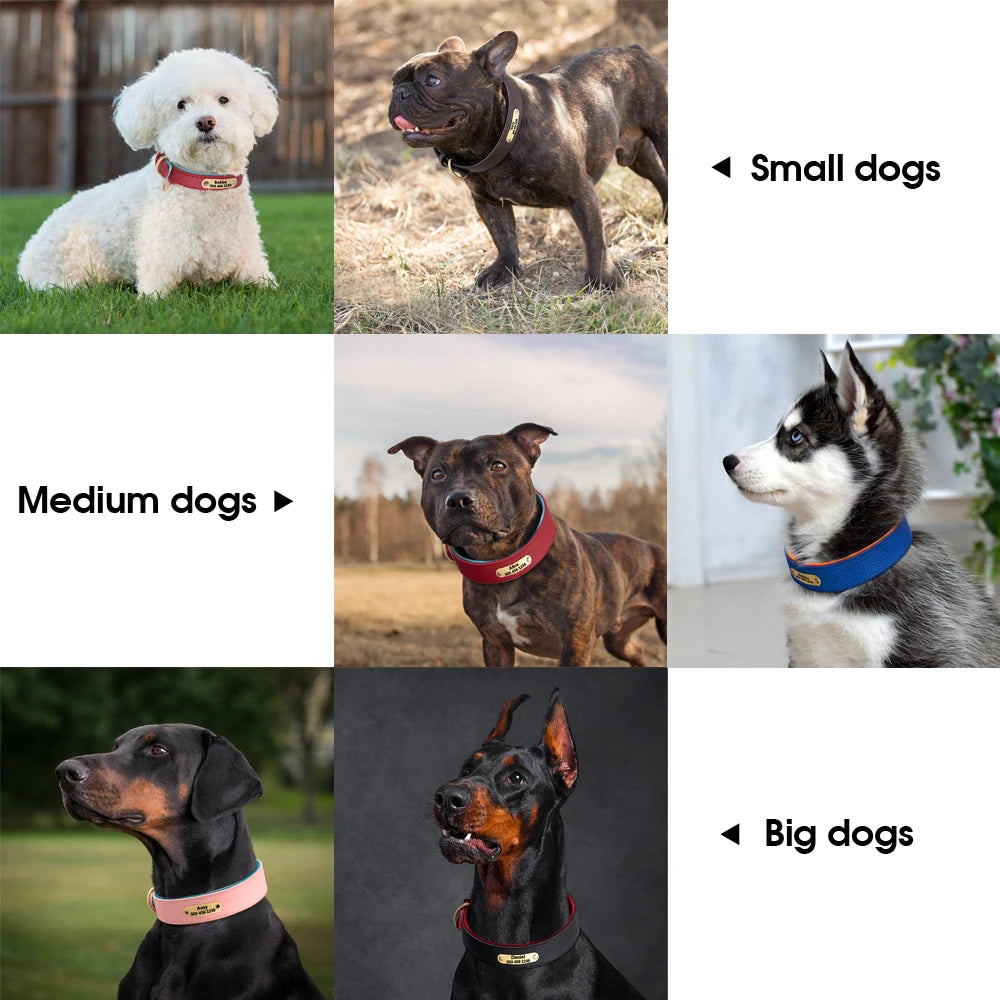Custom Engraved Leather Dog Collar - Personalized ID Plate