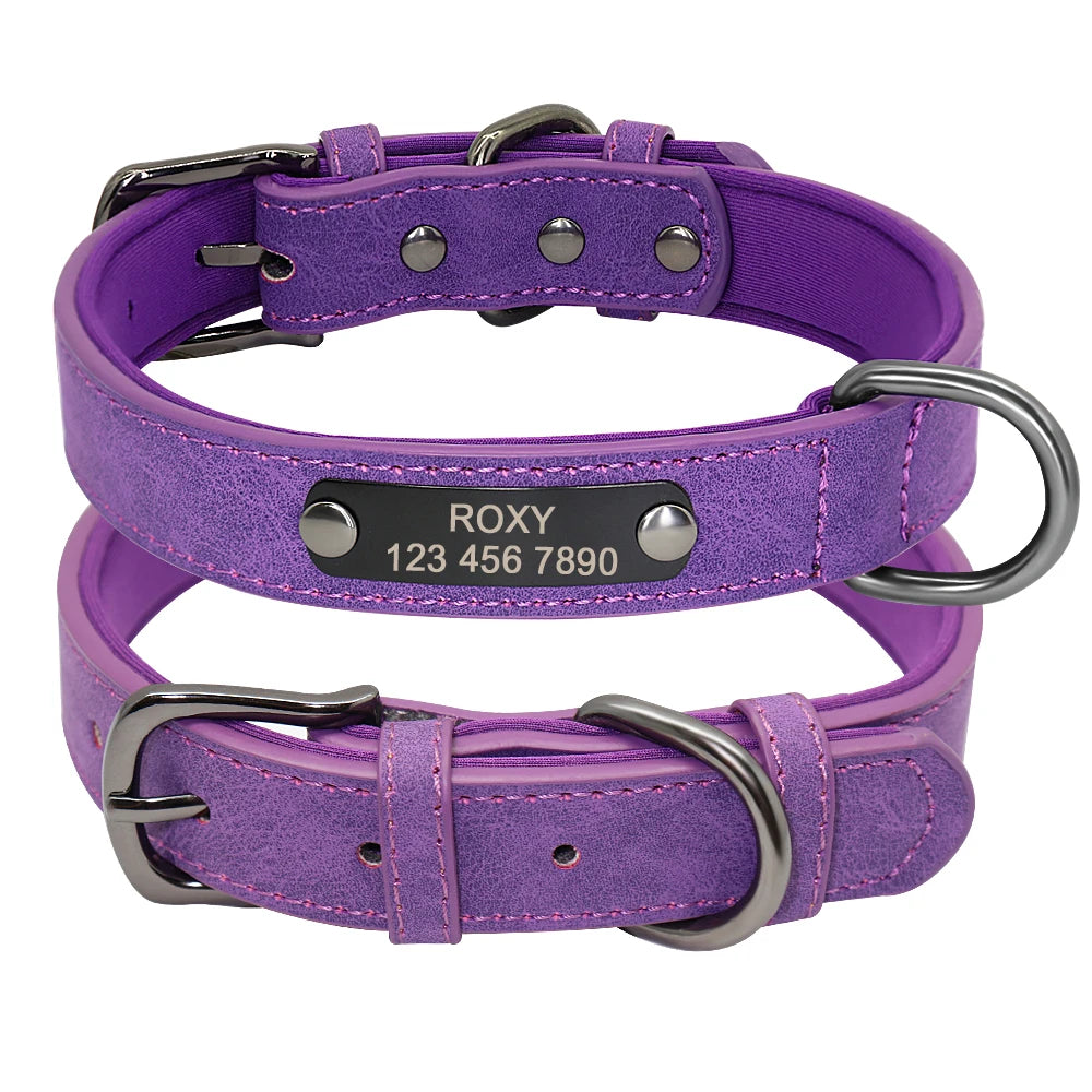 Custom Engraved Dog Collar - Personalized Leather Pet ID Collar Purple