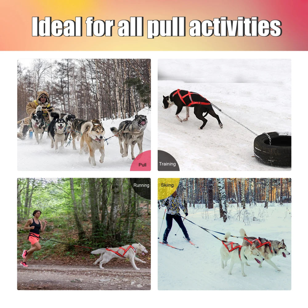 Waterproof Dog Sledding Harness - Reflective Weight Pulling Vest