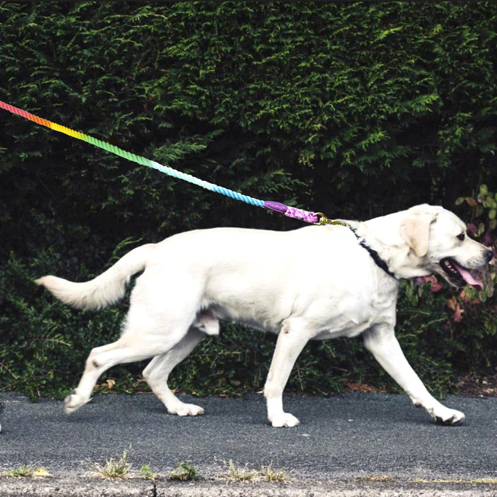 Colorful Rainbow Dog Leash - Premium Cotton Round Lead Rope