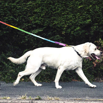 Colorful Rainbow Dog Leash - Premium Cotton Round Lead Rope