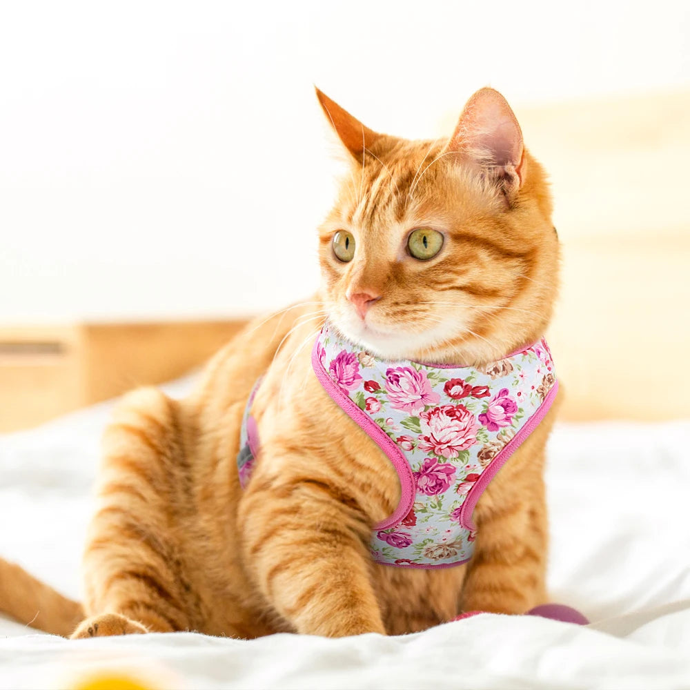 Dog Harness and Leash Set - Breathable Padded Vest with Floral Print