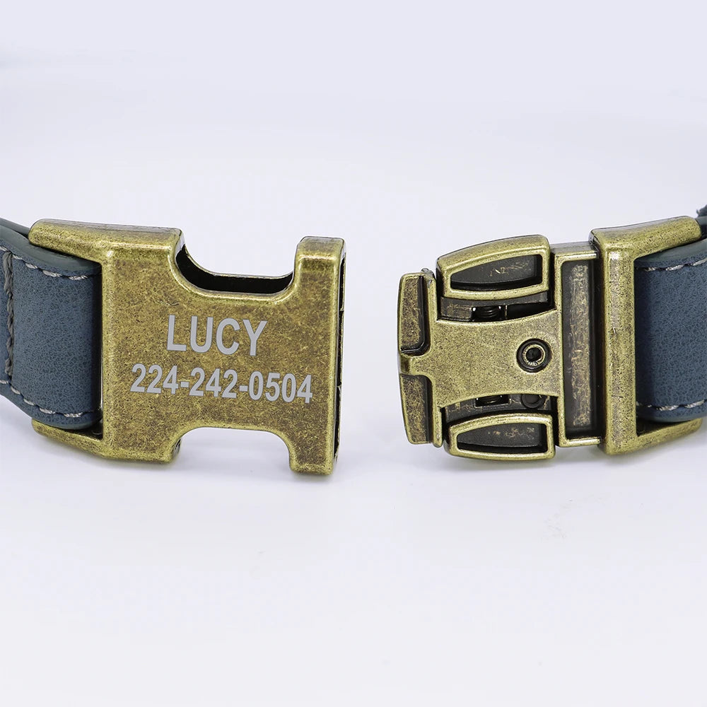 Personalized Dog Collar & Leash Set - Custom Engraved Pet Accessories