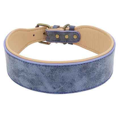 Wide Padded Leather Dog Collar for Large Dogs Blue