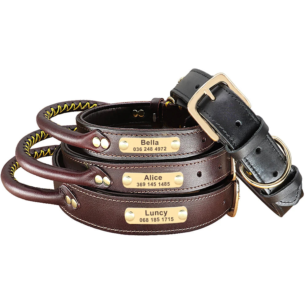 Personalized Leather Dog Collar with ID Tag - Medium & Large Dogs