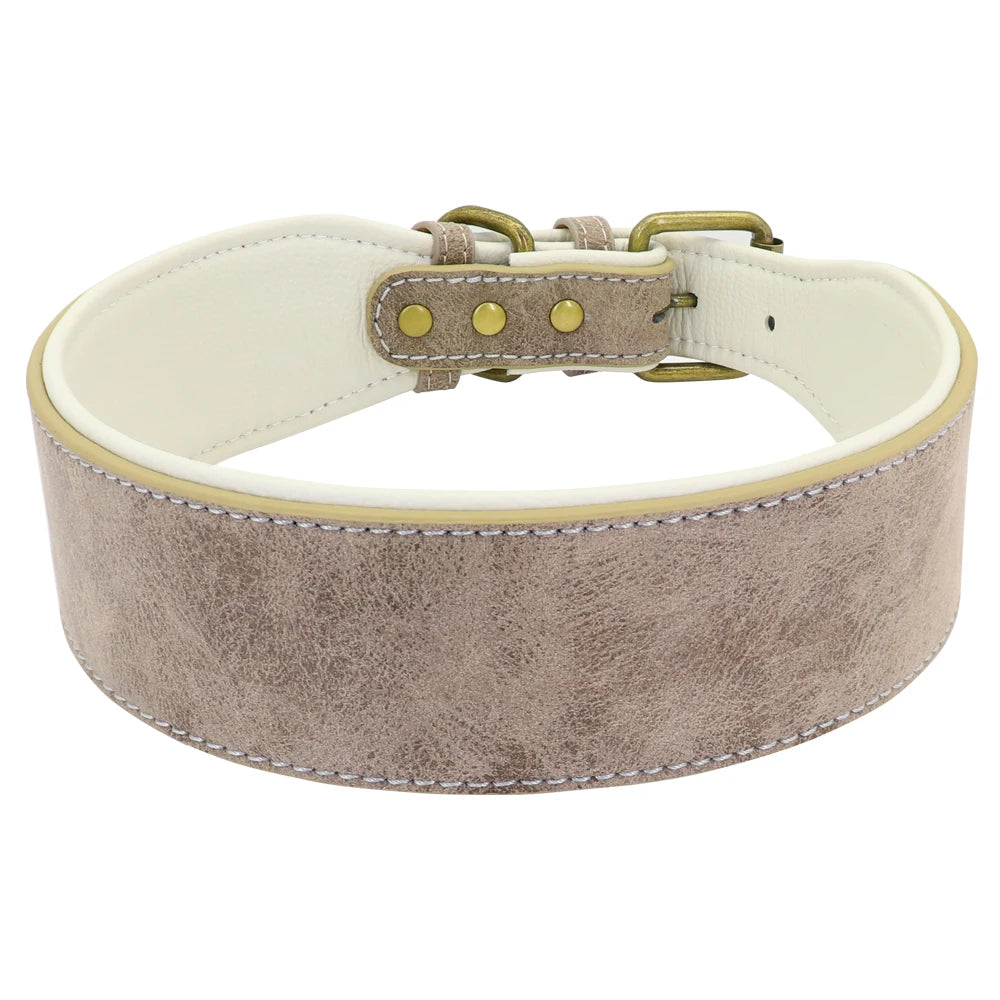 Wide Padded Leather Dog Collar for Large Dogs Black