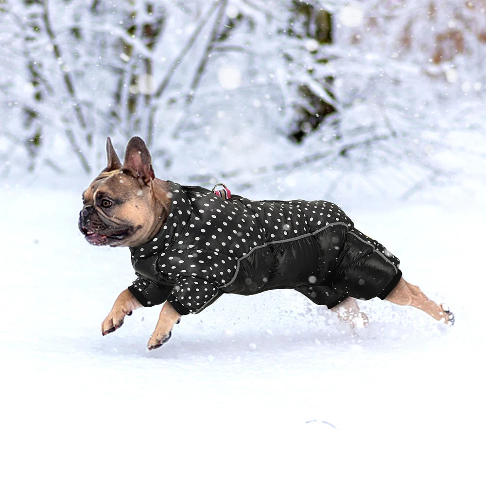 Reflective Dog Winter Jacket - Warm Snow Coat for Small Dogs