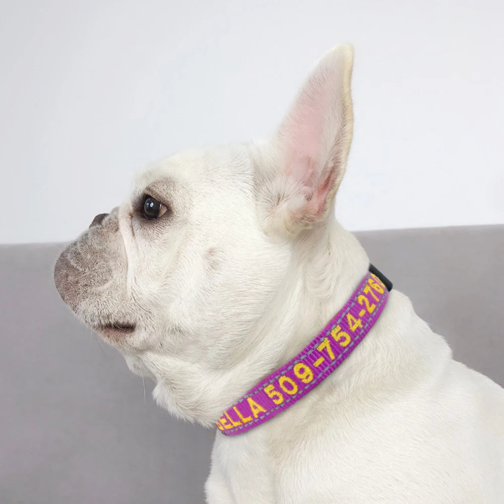 Personalized Reflective Dog Collar - Custom Embroidered Name & Phone