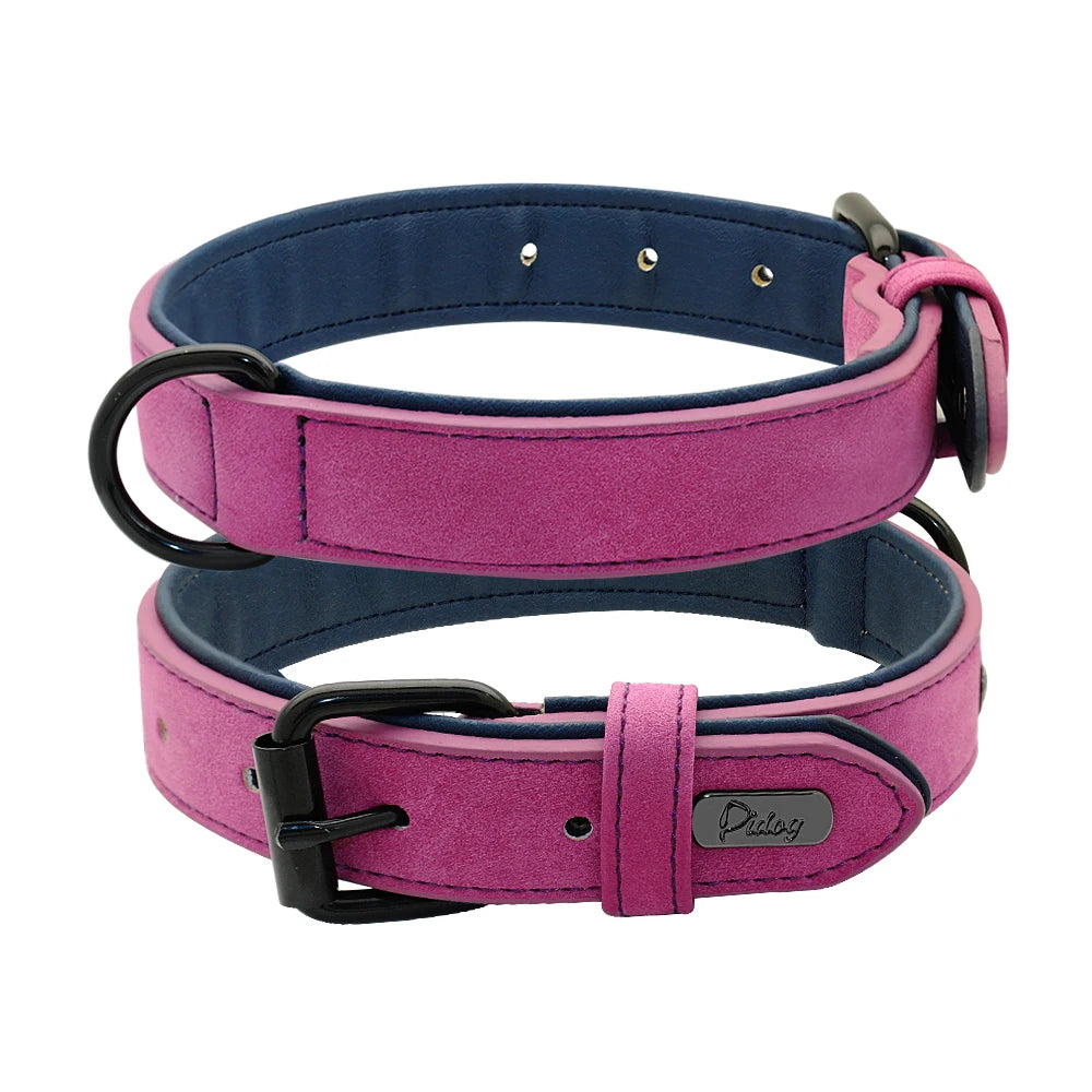Premium Padded Leather Dog Collar - Comfort & Style for All Breeds PURPLE