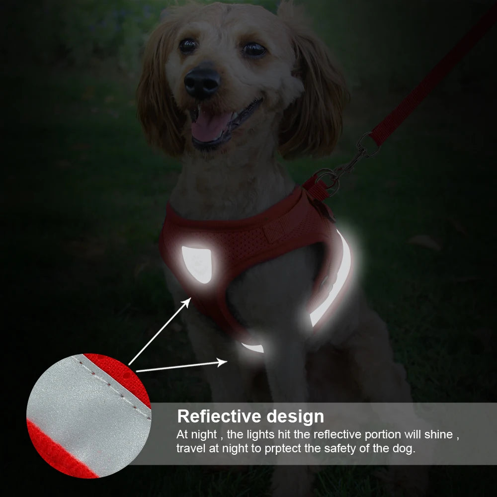 Cat Harness Leash Set - Reflective Mesh Vest for Small Pets