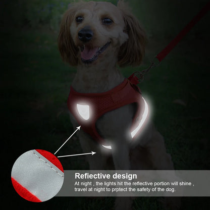 Cat Harness Leash Set - Reflective Mesh Vest for Small Pets