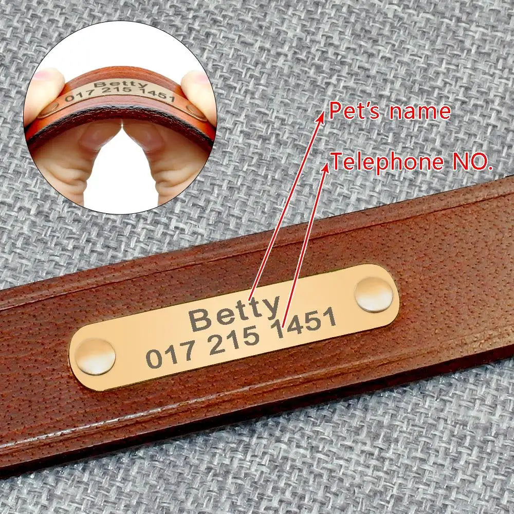 Custom Leather Dog Collar - Free Engraving Personalized Pet ID