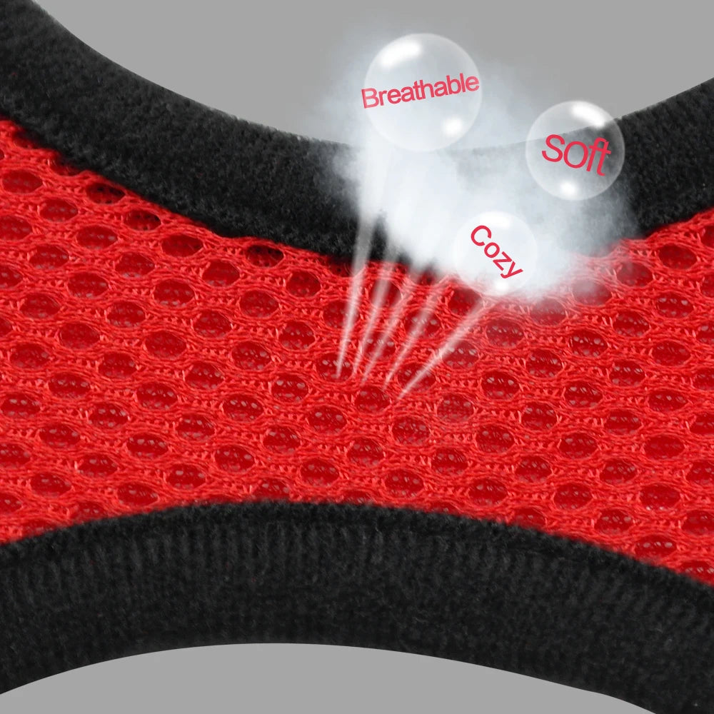 Breathable Mesh Dog Harness & Leash Set - Small Pet Vest Collar