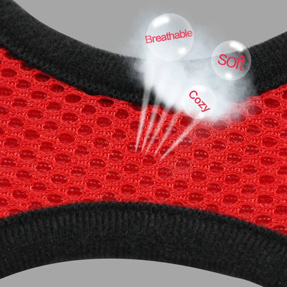 Breathable Mesh Dog Harness & Leash Set - Small Pet Vest Collar