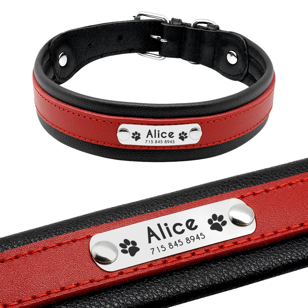 Personalized Leather Dog Collar - Custom Engraved Nameplate