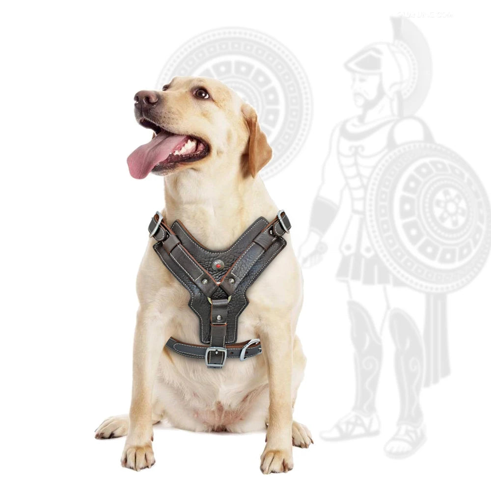 Leather Dog Harness Large Dogs - Training Vest with Control Handle