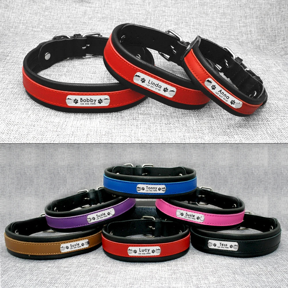 Personalized Leather Dog Collar - Custom Engraved Nameplate