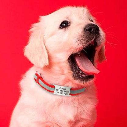 Personalized Dog ID Tag Stainless Steel - Custom Engraved Name Plate