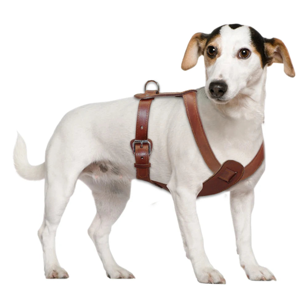 Genuine Leather Dog Harness - Premium Brown Training Vest