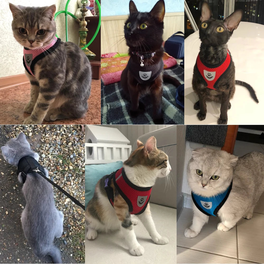 Breathable Mesh Cat Harness with Leash - Reflective Pet Safety