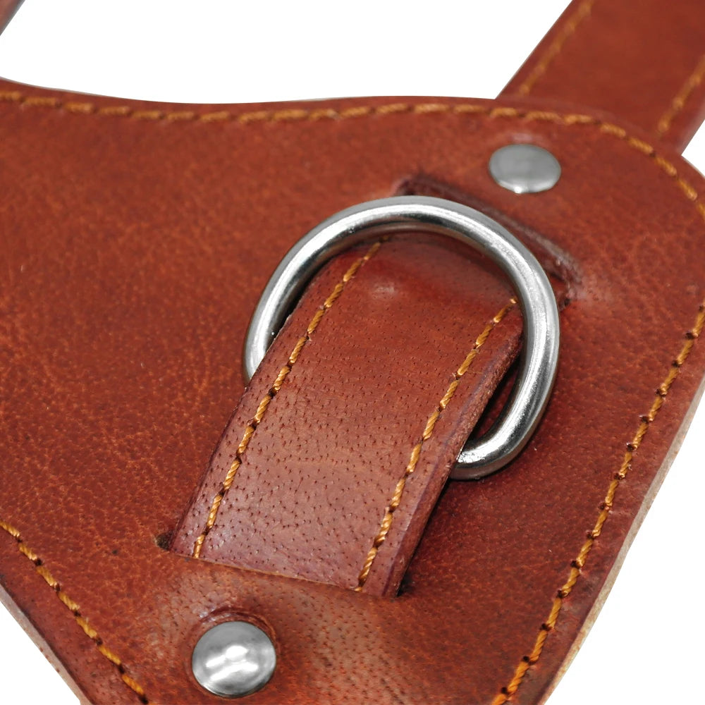 Genuine Leather Dog Harness - Premium Brown Training Vest