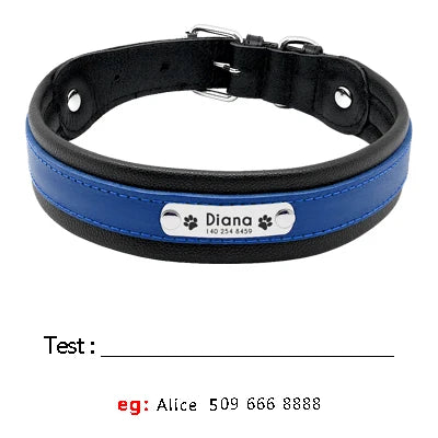 Personalized Leather Dog Collar - Custom Engraved Nameplate Blue