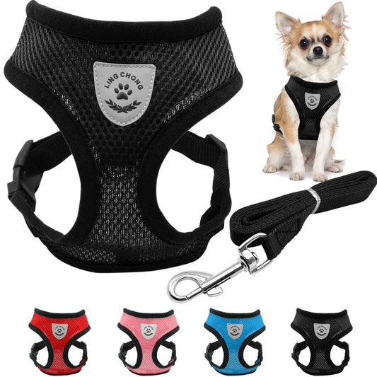 Breathable Mesh Dog Harness & Leash Set - Small Pet Vest Collar