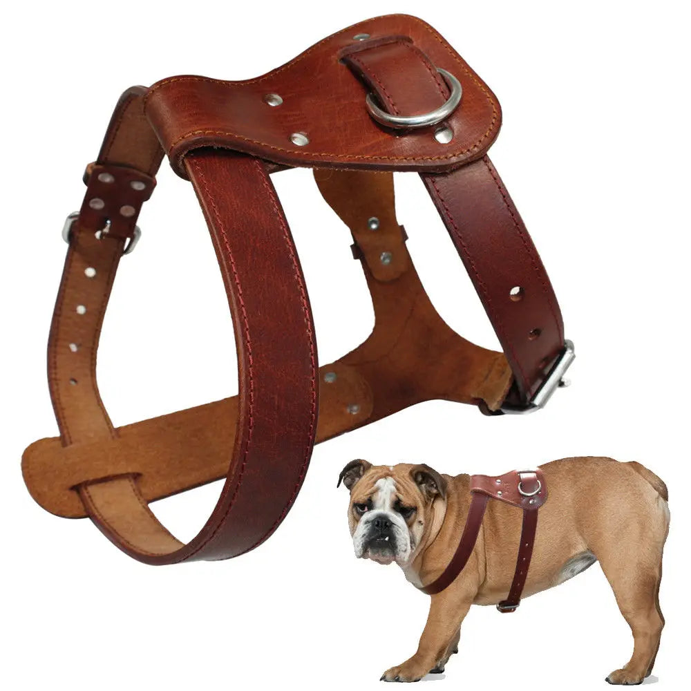 Genuine Leather Dog Harness - Premium Brown Training Vest