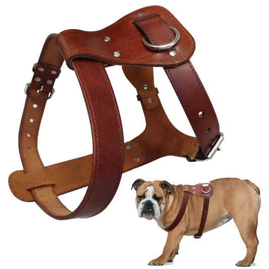 Genuine Leather Dog Harness - Premium Brown Training Vest