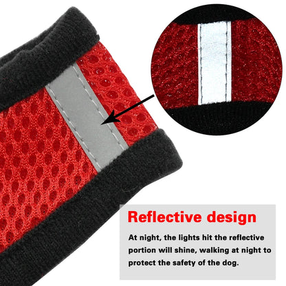 Breathable Mesh Dog Harness & Leash Set - Small Pet Vest Collar