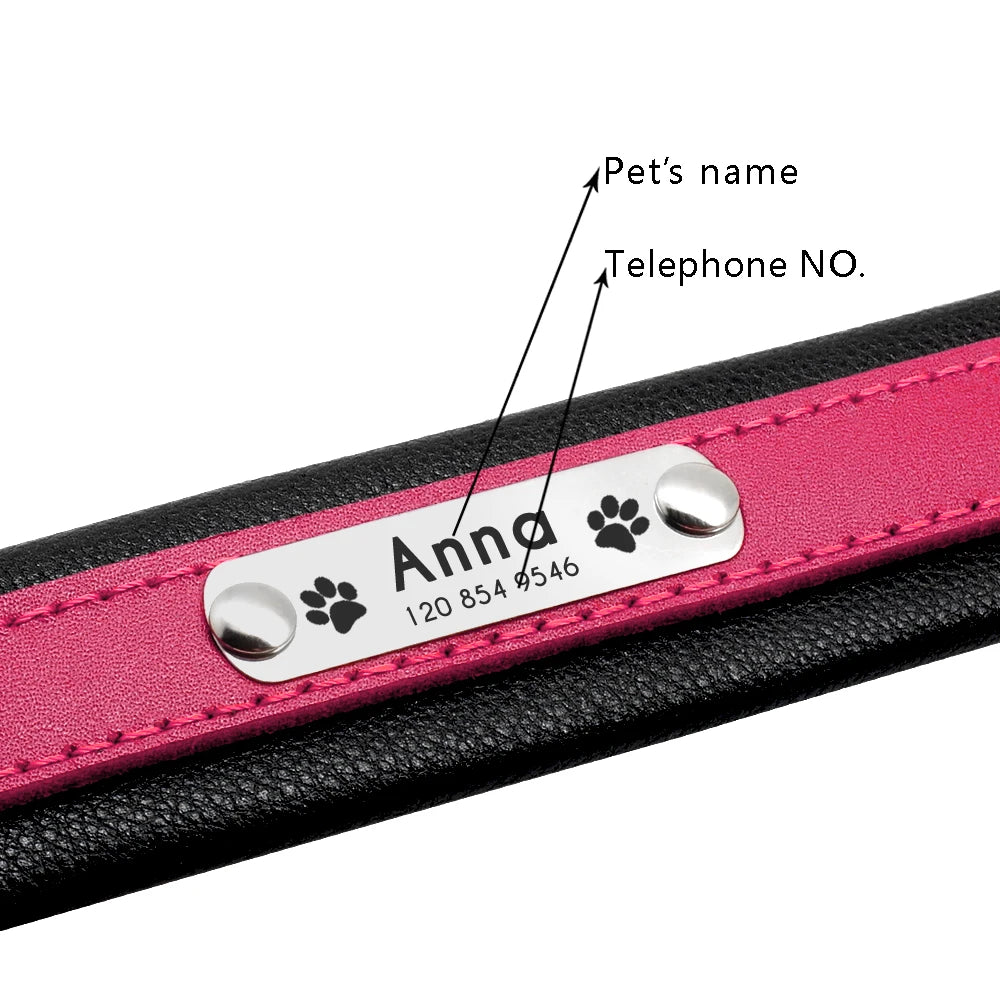 Personalized Leather Dog Collar - Custom Engraved Nameplate